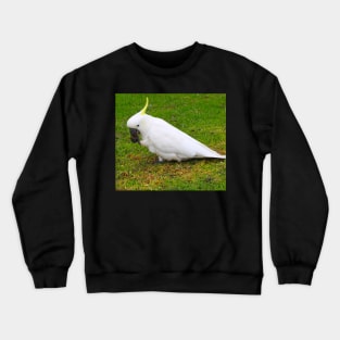 Left Foot Cockatoo Crewneck Sweatshirt